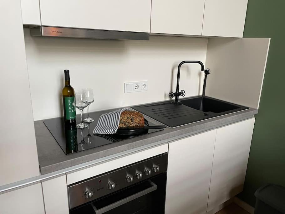 Loft Bw29 Zentrum - Freizeit & Arbeit - 5 Personen - Wifi 莱比锡 外观 照片